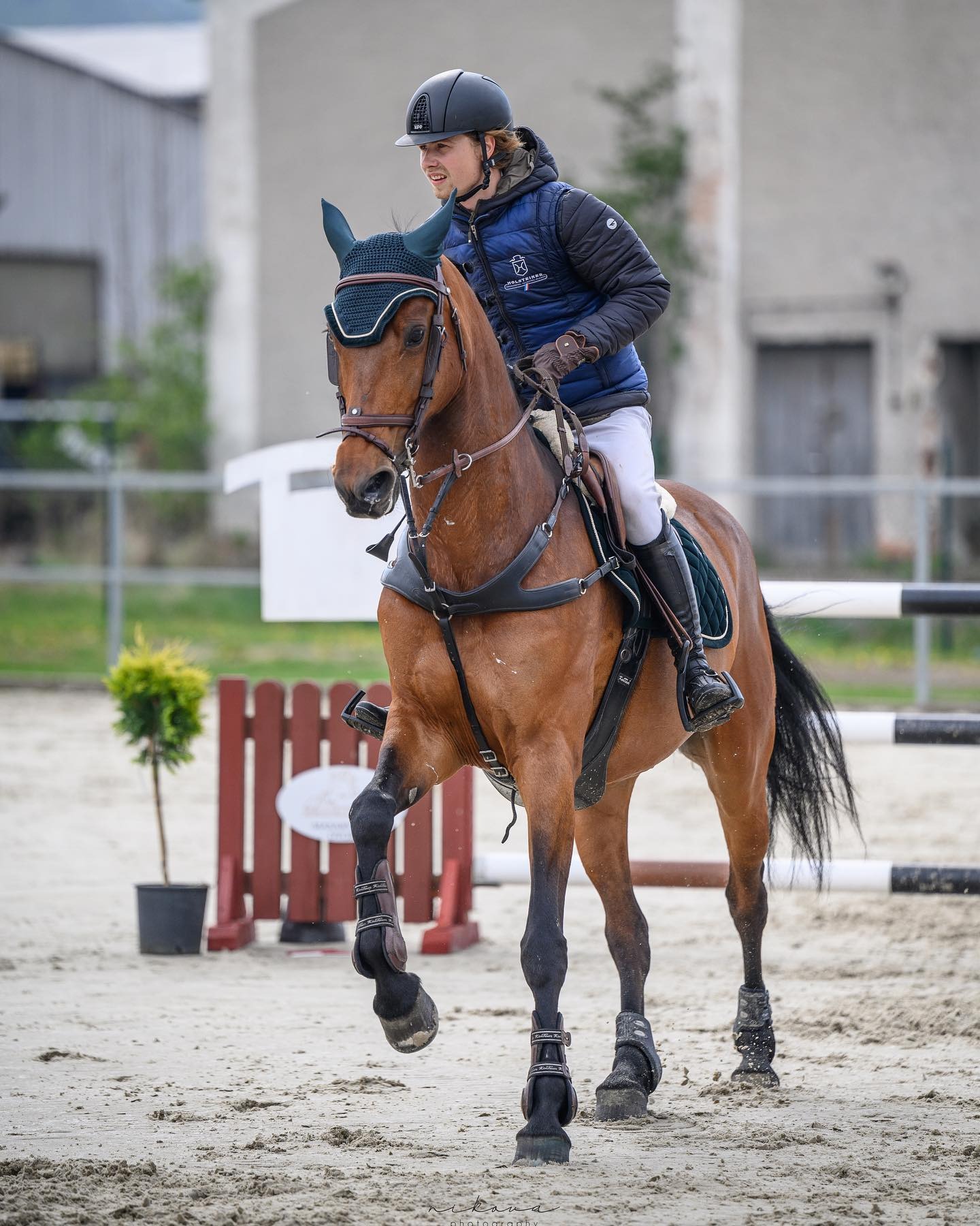 Mladý športový kôň v práci